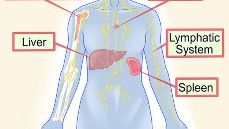 How to Boost Your Immunity to the Common Cold