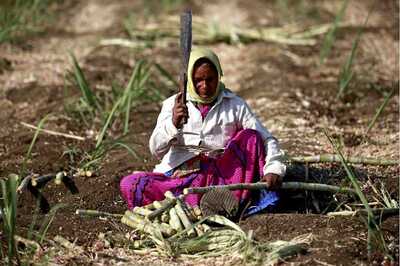 Malaysia's Sugar Purchases from India Hit Record High as It Seeks to Placate Delhi Amid Diplomatic Spat