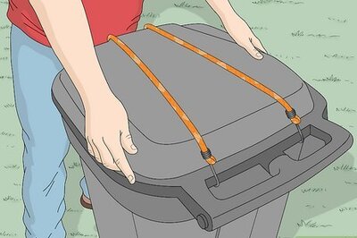 How to Get Rid of Raccoons