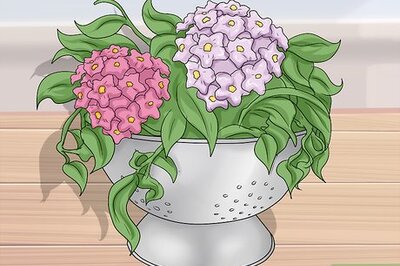 How to Make Spring Crafts