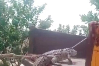 WATCH | Karnataka Farmers Reach Power Station With Crocodile to Protest Electricity Crisis