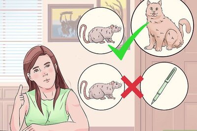 How to Write Like Dr. Seuss