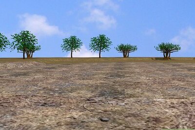 How to Install a Bamboo Rhizome Barrier