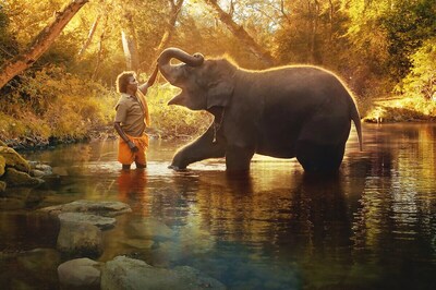 Oscars 2023: Where To Watch The Elephant Whisperers, Guneet Monga’s Best Documentary Short Film