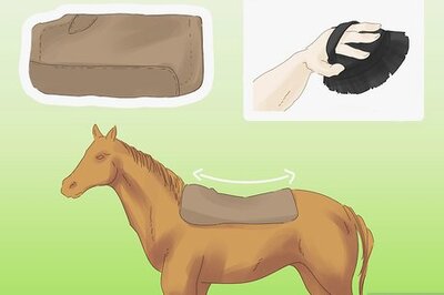 How to Tighten Your Horse's Western Girth