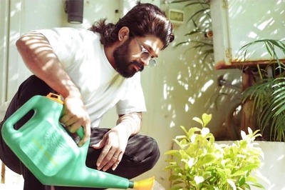 Allu Arjun Expresses His Love For Mother Nature On Earth Day; See Photo