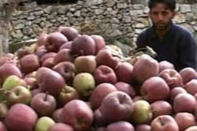 English lecturer takes on 'Raja Saheb' in Himachal