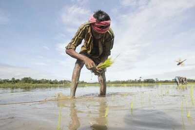 Panel on Doubling Farmers' Income to Submit Final Report Next Month