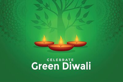 Diwali 2021: Here’s How You can Celebrate the Festival Of Lights in an Eco-friendly Manner