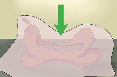 How to Rawhide a Saddle Tree