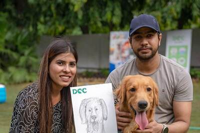 You Won't Believe This Pool Party: Dog's Day Out