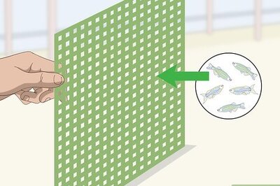How to Make a Fish Tank Divider