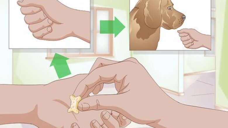 How to Teach a Dog to High Five