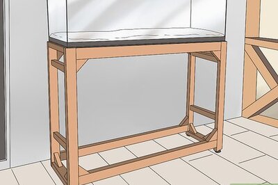 How to Set up a Healthy Goldfish Aquarium