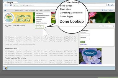 How to Pick Low Maintenance Perennials for Your Garden