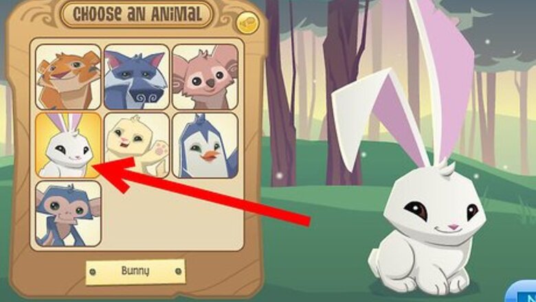 How to Get Adopted As a Kitten on Animal Jam