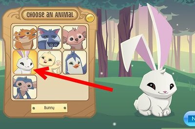 How to Get Adopted As a Kitten on Animal Jam