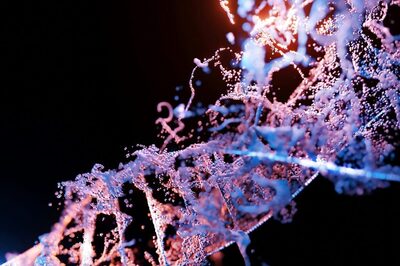 Scientists Make Breakthrough, Use Crispr To Eliminate HIV From Infected Cells