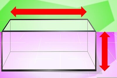 How to Set up a Fish Tank (for Goldfish)