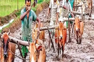 These Farmers Not Eligible to Benefit Under PM Kisan Samman Nidhi Scheme. Details