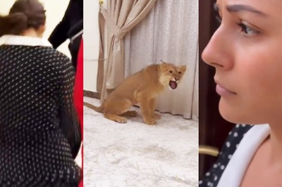 Watch: When Shehnaaz Gill Spotted a Lion Cub on Her Dubai Visit