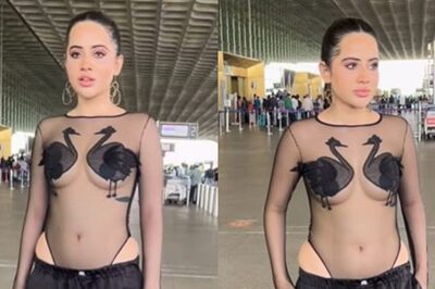 Urfi Javed Sports Sheer Monokini With Ducks Designed On It: Yay or Nay?