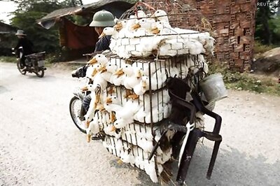 China reports 3 more cases of new bird flu, total goes up to 21