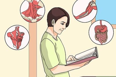 How to Study Muscle Anatomy