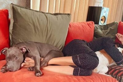 Inside Samantha Akkineni's Christmas Celebrations Featuring Lazy Sessions With Hash and Sasha