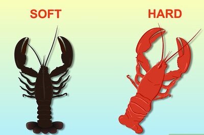 How to Eat Lobster
