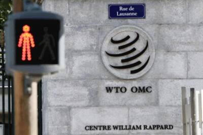 India Urges WTO Members to Find Permanent Solution for Public Stock Holding for Food Security