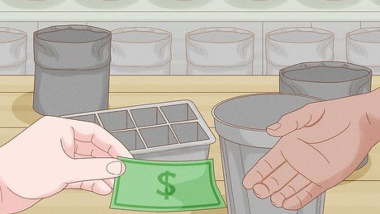 How to Grow Eggplants in Pots