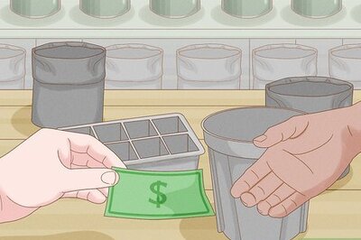 How to Grow Eggplants in Pots