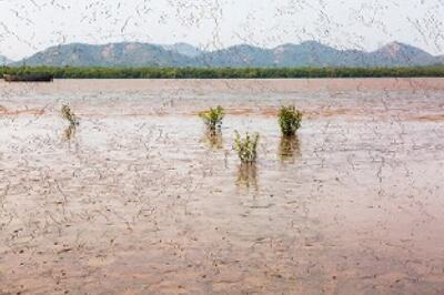 Inspired By Water, Performance Artist Atul Bhalla is Making People Notice Environmental Issues