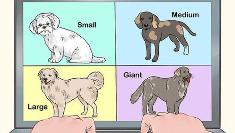 How to Fly with Pets