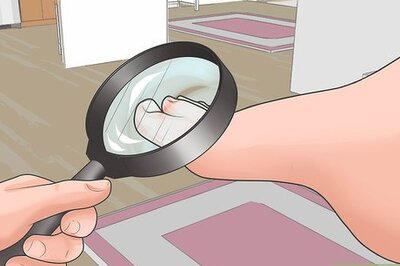 How to Painlessly Remove a Splinter