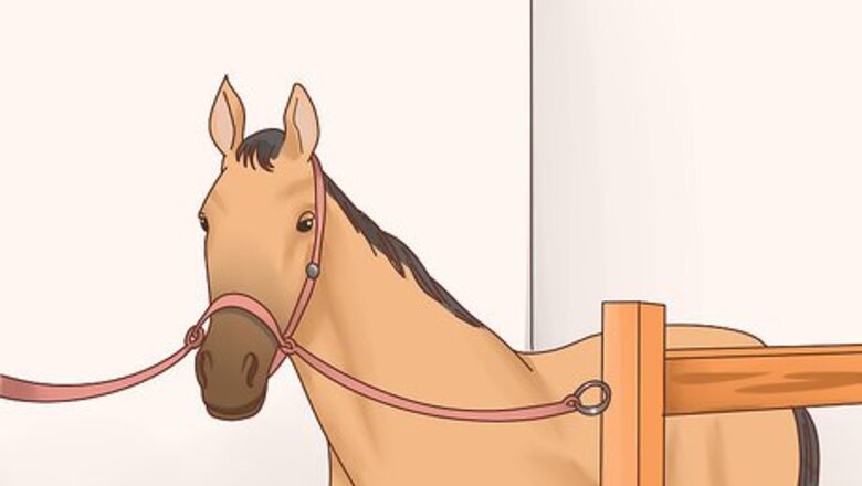 How to Take Care of Your Horse