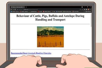 How to Understand Bovine Behaviour