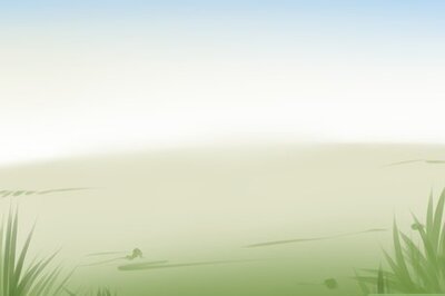 How to Make a Fall Flower Garden