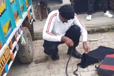 Rajasthan Driver Shocked to Find 3-Foot Cobra Hiding Under Truck Seat