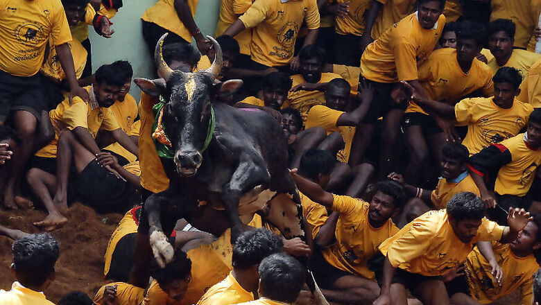 Animal Welfare Board, NGOs Challenge New Jallikattu Law in SC