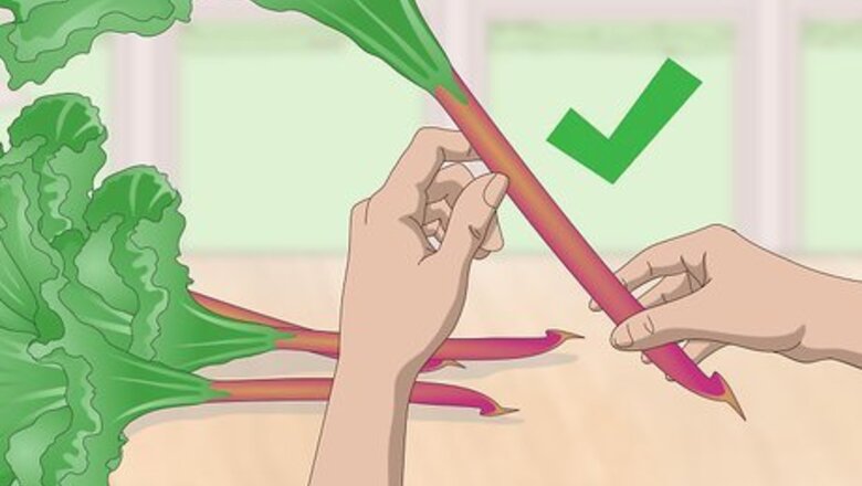 How to Store Rhubarb