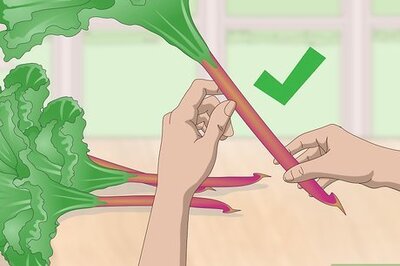 How to Store Rhubarb
