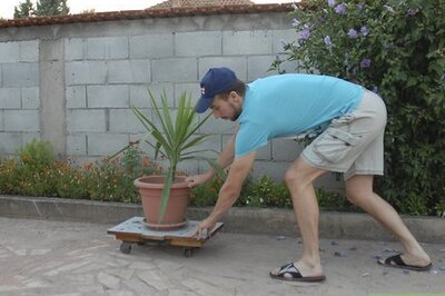 How to Move Big Pots