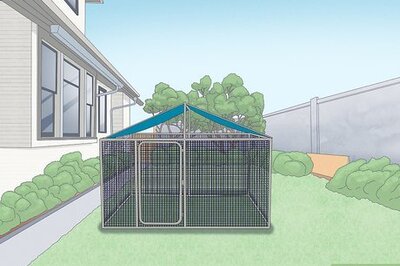 How to Protect Small Dogs from Birds of Prey