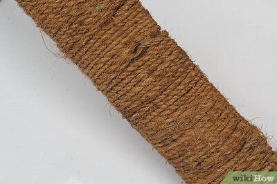 How to Make a Homemade Cat Spa