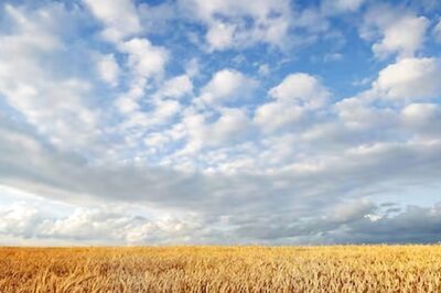 Horticulture Crops Output Seen Flat at 355 MT in 2023-24