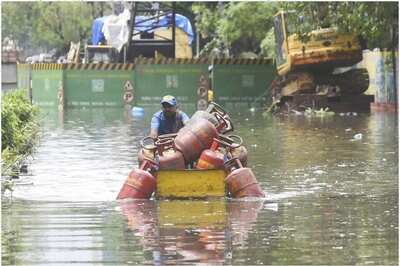 Monsoon Diseases: How to Protect Against Dengue with Food That Boost Immunity System