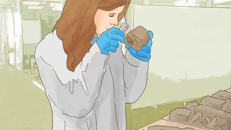 How to Find Mineral Rights in Montana