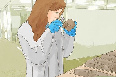 How to Find Mineral Rights in Montana